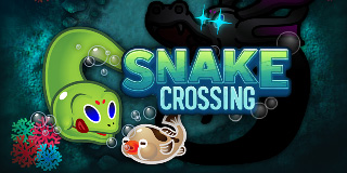 Snake Crossing